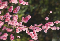 ​不想开学的心情说说2024疫情期间（精选）