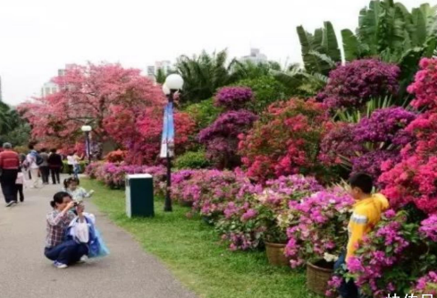 1709321989222216.png image.png