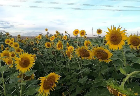 1709322321507387.png image.png