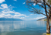 ​2024第一杯奶茶搞笑说说疫情期间（精选）