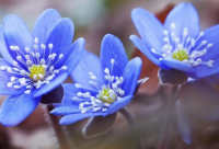 ​立夏的心情短句 迎接夏天的心情说说2024疫情期间（精选）