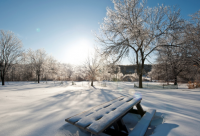 ​关于纪念2024年初雪的心情说说 2024年初雪来了的心情句子