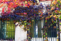 ​终于正不住了的说说精选