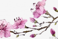 ​圣诞节要礼物的搞笑说说2024疫情期间（精选）