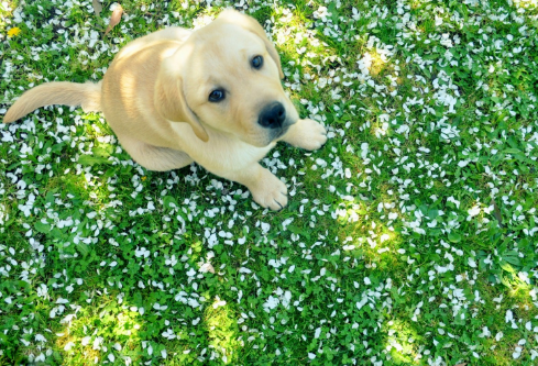 1709330615629468.png image.png