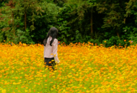 ​4.1清明节思恋亲人的说说2024疫情期间（精选）