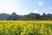 ​喜欢吃甜品发朋友圈的说说2024疫情期间（精选）