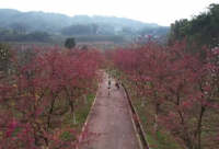 ​关于谁都不欠谁的说说简短句子 互不相欠的短信说说