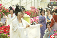 ​花与生活说说心情精选