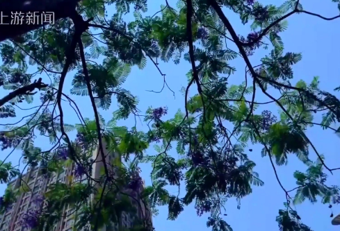 1709334268104472.png image.png