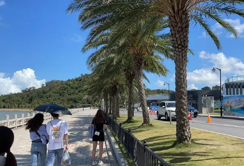 1709337422687561.png image.png