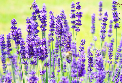 1709340741150912.png image.png