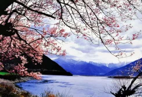 1709343230336078.png image.png