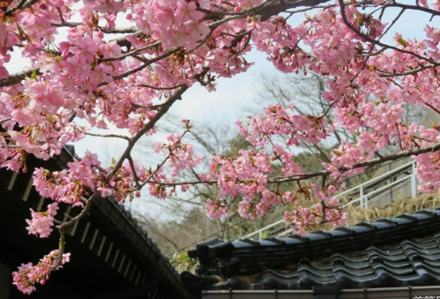 1709345719118216.png image.png