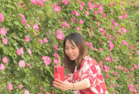 ​关于对情人说的感动的话（向情人表白最感动的句子大全）