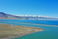 ​2024过年在家包饺子的心情说说疫情期间（精选）