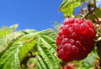 ​学游泳发朋友圈搞笑说说2024疫情期间（精选）