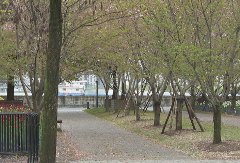 1709350197141187.png image.png