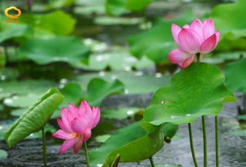 1709352353116547.png image.png