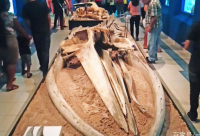 ​适合冬天和下雪时发的说说 2024疫情期间（精选）