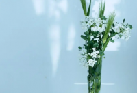 ​花生米配酒的说说(25句)