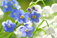 ​关于大人过儿童节的说说