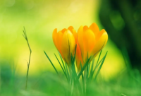 ​没必要生气的精辟句子