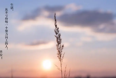 1709619937289991.png image.png