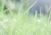 ​四月温柔又很美好的句子短句(26句)