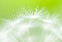 ​给对象转账的句子(汇总25句)