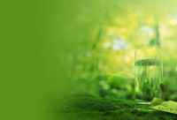 ​远离纷纷扰扰的句子(精选20句)