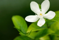 ​官宣恋爱短句(精选26句)