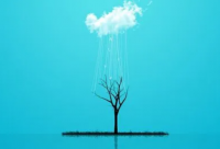 ​关于礼仪的名言名句大全