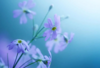 ​写到心坎的精美短句子(必备25句)