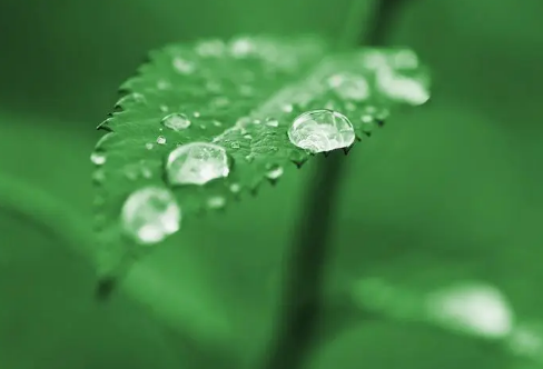 1709622978112493.png image.png