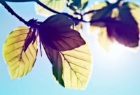 ​让男朋友暖心到哭的话语(汇总26句)