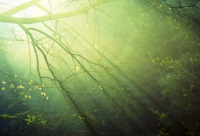 ​发微信红包调皮用语 发红包活跃气氛的话