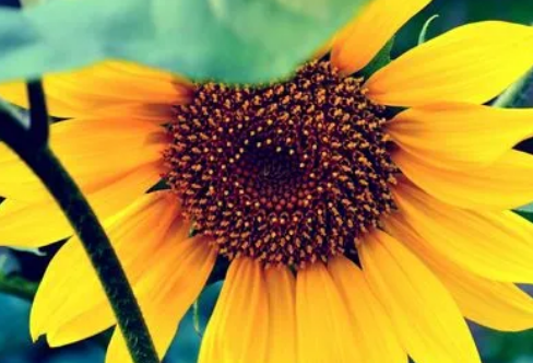 1709623654510658.png image.png