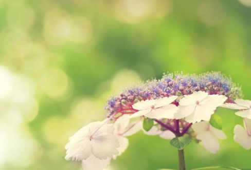 1709624161966063.png image.png