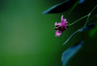 ​温柔又很舒心的说说短句(推荐26句)