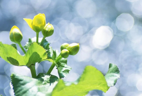 1709625344342446.png image.png