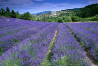 ​被渣女欺骗感情的句子说说