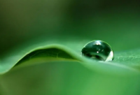 ​充满正能量的说说短句(23句)