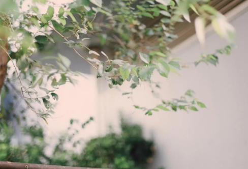 1709627540462720.png image.png