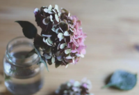 ​小年适合发的说说(实用24句)