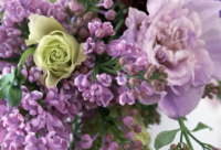 ​很美很温暖的古风句子(实用26句)