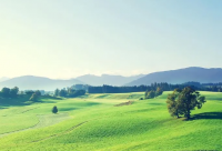 ​生活很苦人间值得的句子说说(通用25句)