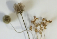 ​玩斗地主的幽默的句子(精选21句)