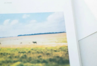 ​关于小丑的积极句子(精选18句)