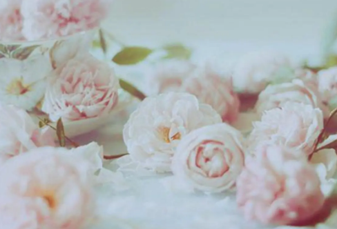 1709632103103667.png image.png